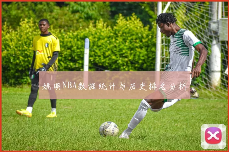 姚明NBA数据统计与历史排名分析